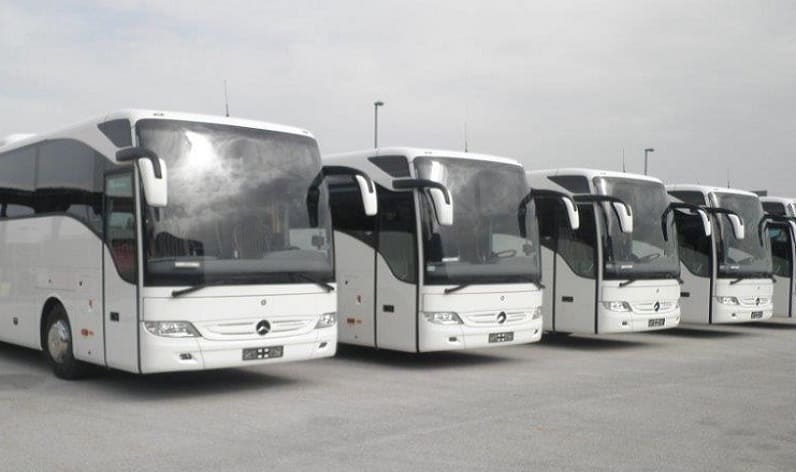 Occitanie: Bus company in Albi in Albi and France