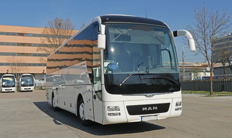 Occitanie: Buses operator in Sète in Sète and France