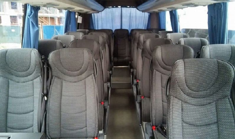 France: Coach hire in Occitanie in Occitanie and Agde