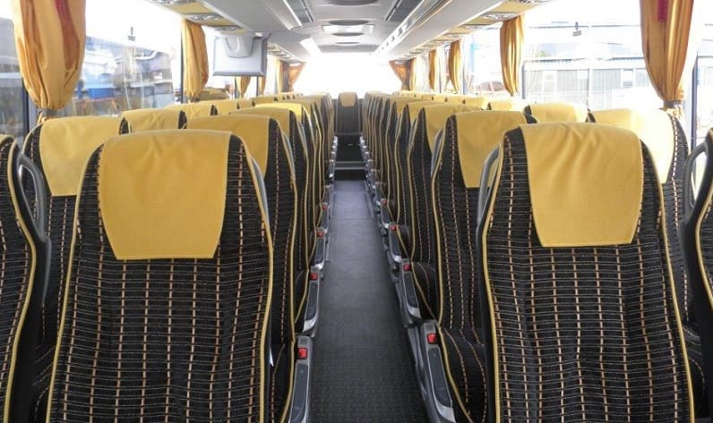 France: Coaches reservation in Occitanie in Occitanie and Blagnac